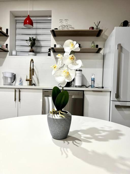 Luxury And Cozy 1 Bed Condo In The Heart Of プロビデンス エクステリア 写真